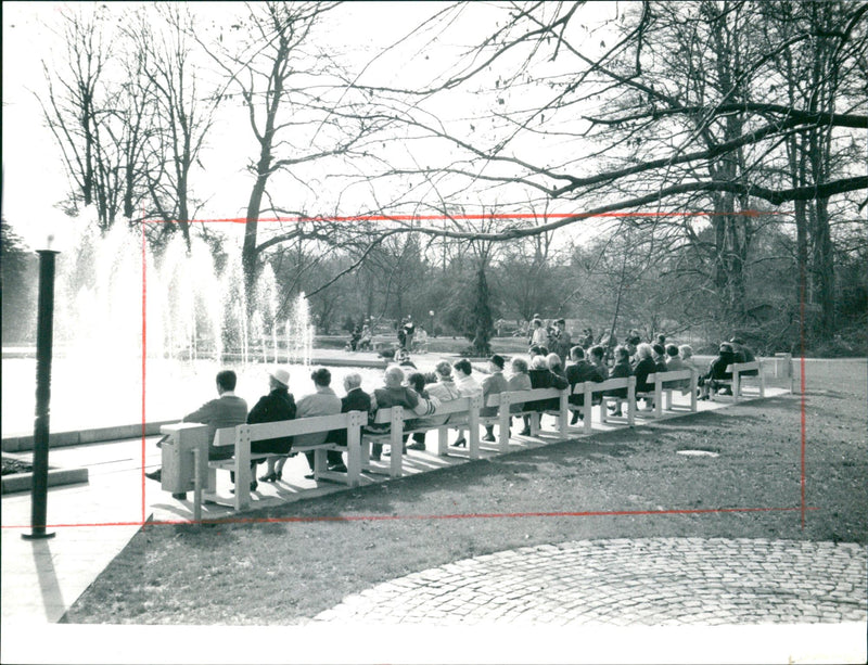 Palm garden in 1988 - Vintage Photograph