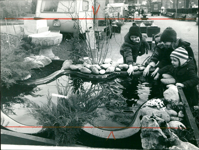 Children at a pond in the palm garden - Vintage Photograph