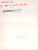 Rose and light festival in the palm garden - Vintage Photograph