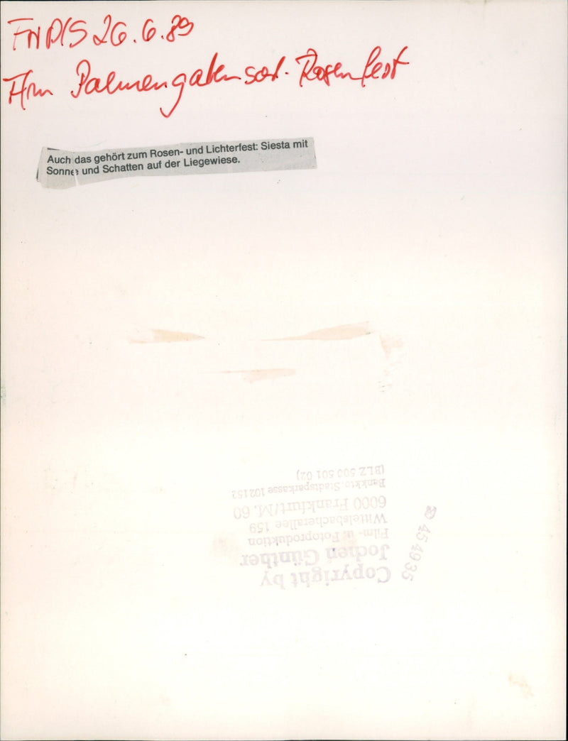 Rose and light festival in the palm garden - Vintage Photograph