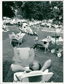 Rose and light festival in the palm garden - Vintage Photograph