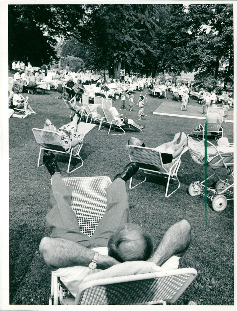 Rose and light festival in the palm garden - Vintage Photograph