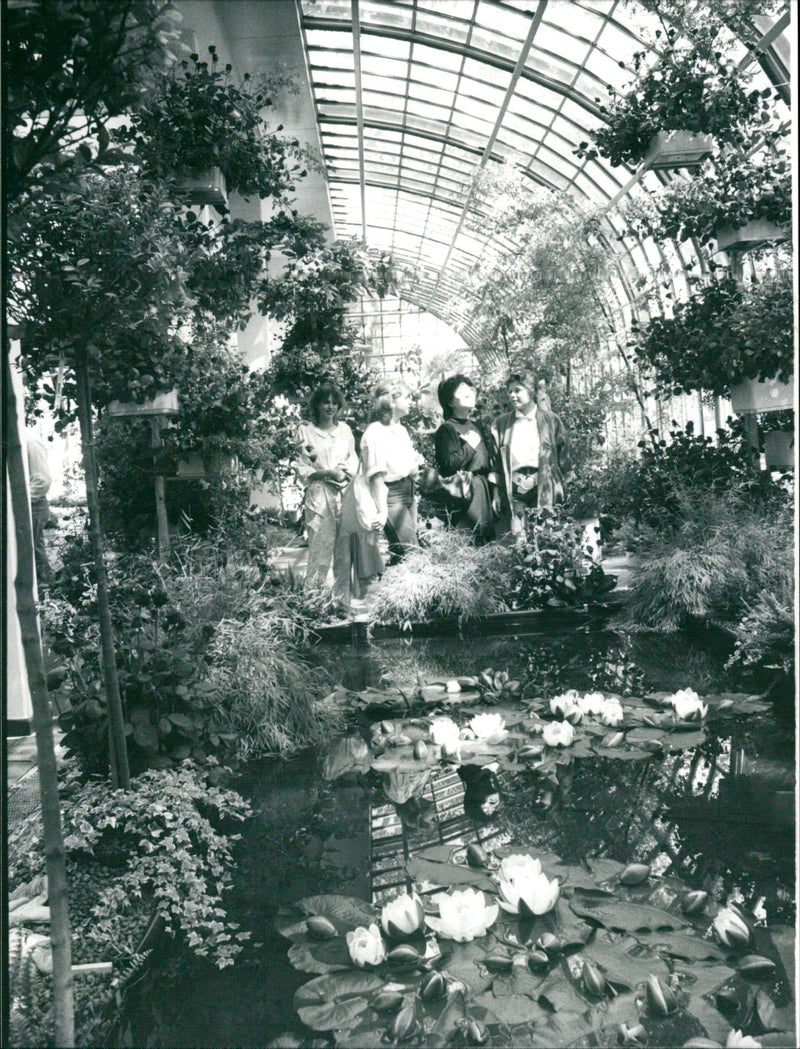 Rose show in palm garden - Vintage Photograph