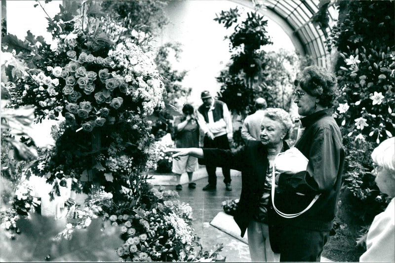 Rose show in palm garden - Vintage Photograph