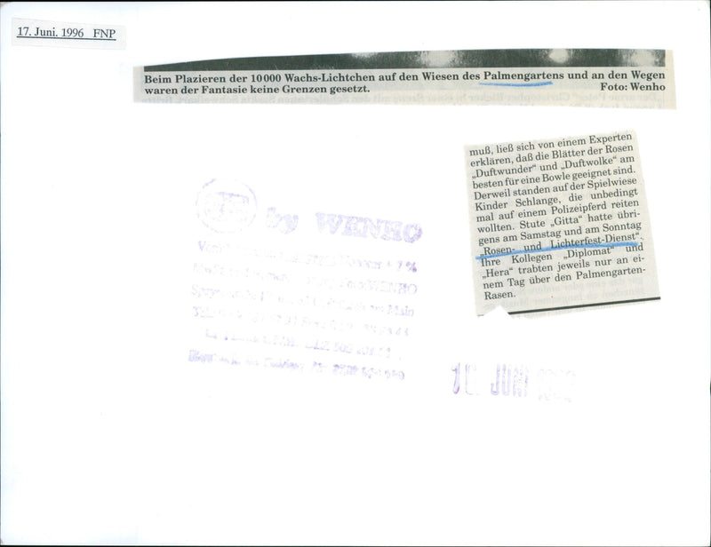 Rose and light festival in the palm garden - Vintage Photograph