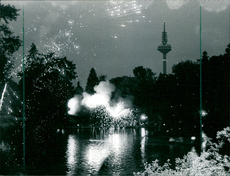 Rose and light festival in the palm garden - Vintage Photograph