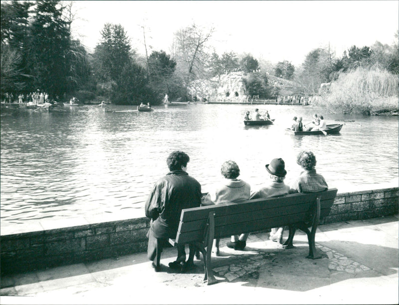 Palm garden - Vintage Photograph