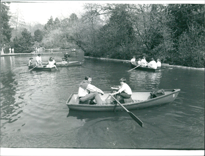 Boating in the palm garden - Vintage Photograph
