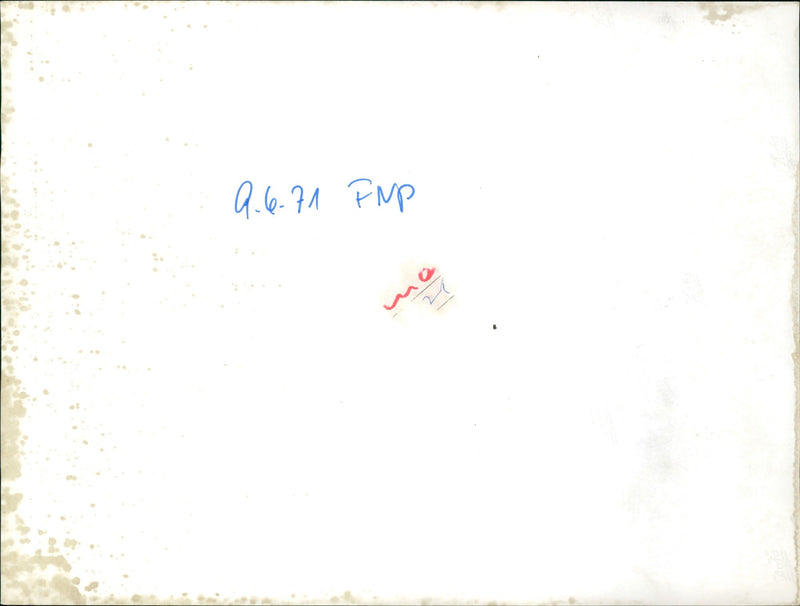 Palm garden - Vintage Photograph