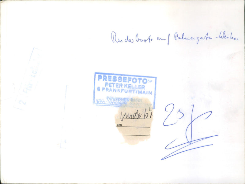 Rowing boats in the palm garden - Vintage Photograph