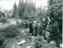Guided tour through the palm garden - Vintage Photograph