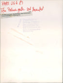 Rose and light festival in the palm garden - Vintage Photograph