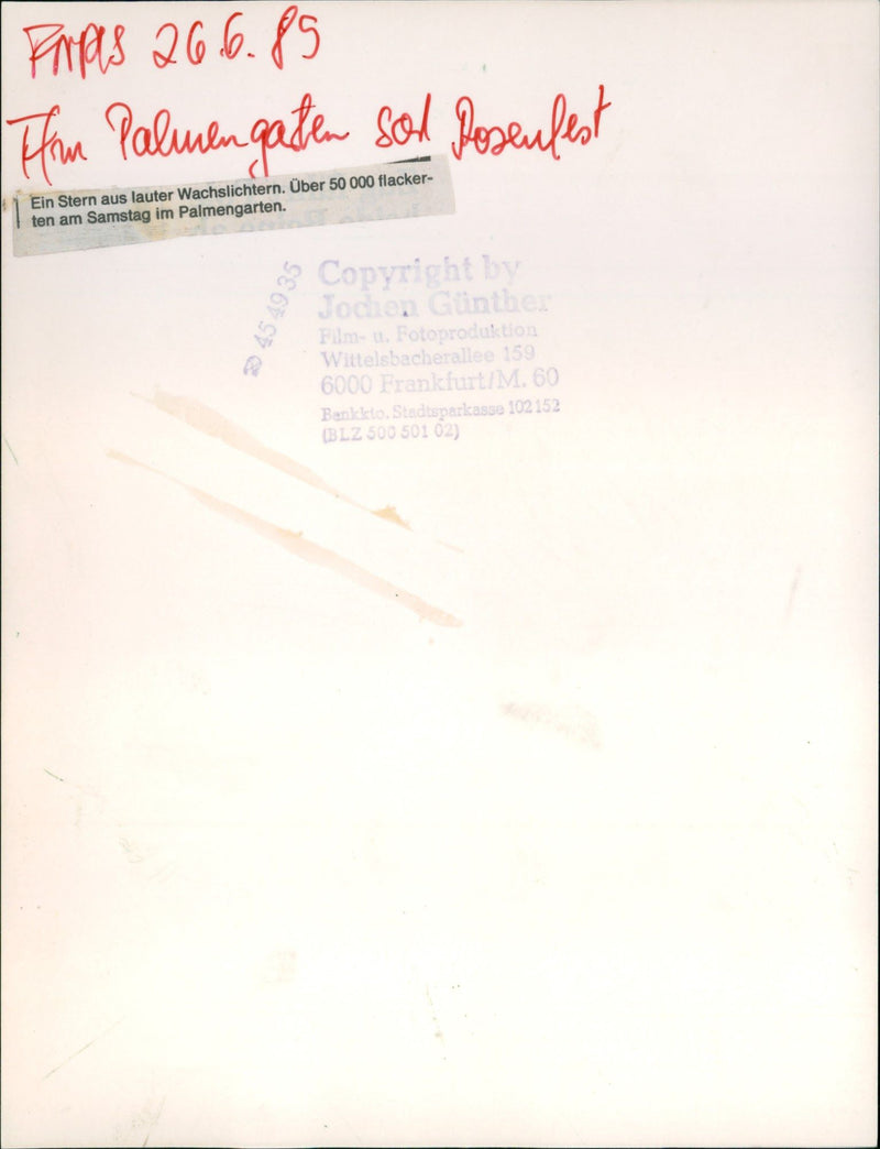 Rose and light festival in the palm garden - Vintage Photograph