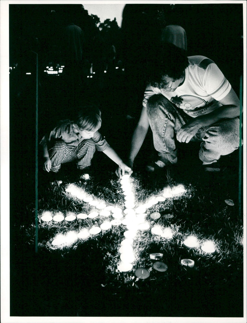 Rose and light festival in the palm garden - Vintage Photograph