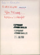 Rose and light festival in the palm garden - Vintage Photograph