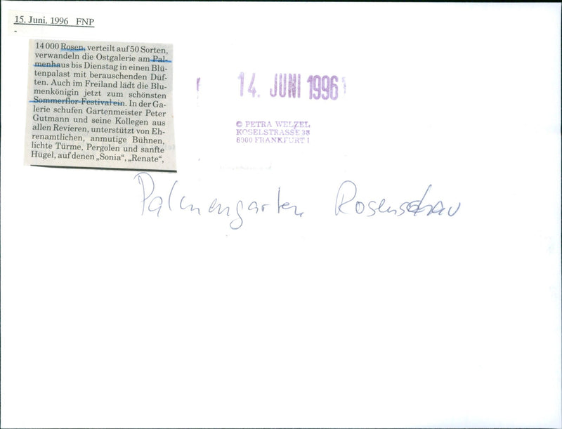 Rose show in palm garden - Vintage Photograph