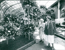 Rose show in palm garden - Vintage Photograph