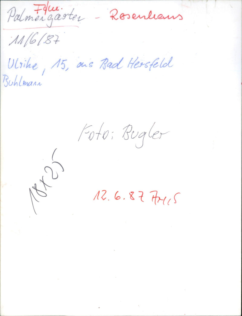 Rose house in palm garden - Vintage Photograph