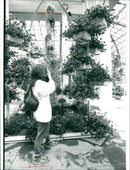 Rose house in palm garden - Vintage Photograph