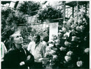 Rose show in palm garden - Vintage Photograph