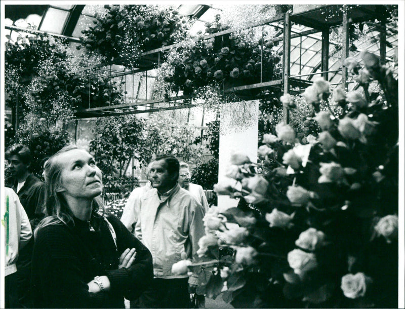 Rose show in palm garden - Vintage Photograph