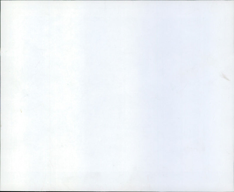 "Escapaden" - roses - Vintage Photograph