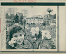 "Escapaden" - roses - Vintage Photograph