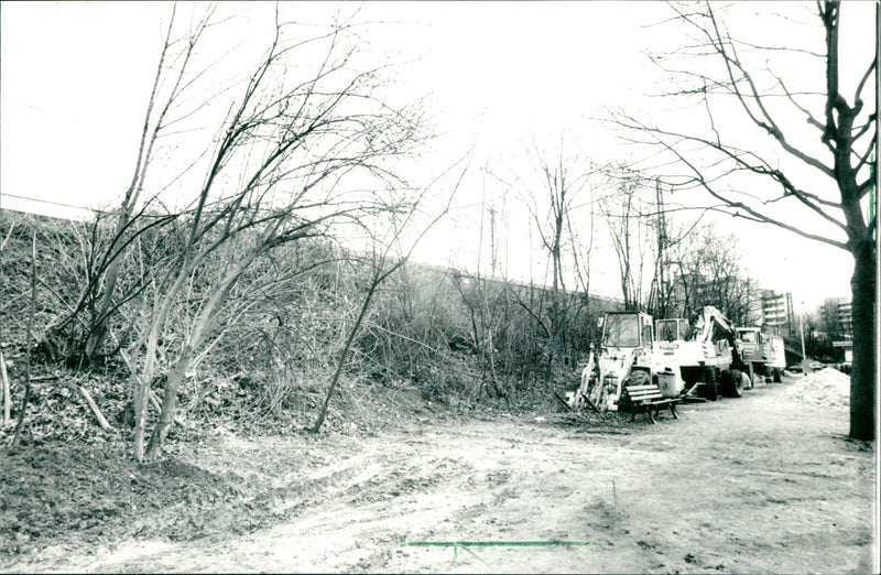 Cutting down the trees in Frankfurt - Vintage Photograph