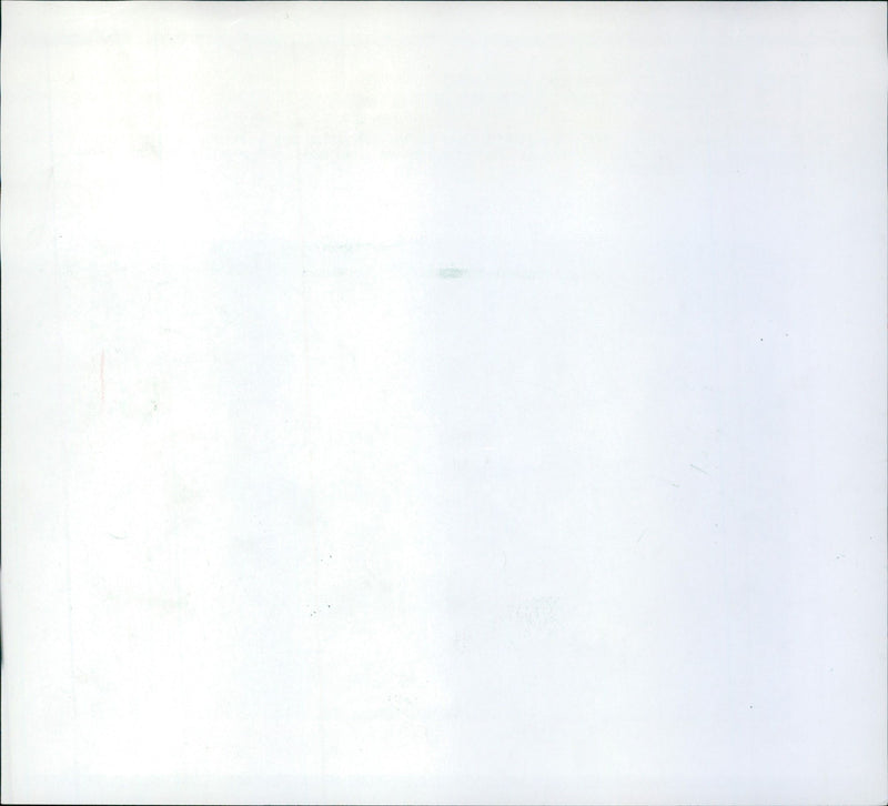 Rose show in palm garden - Vintage Photograph