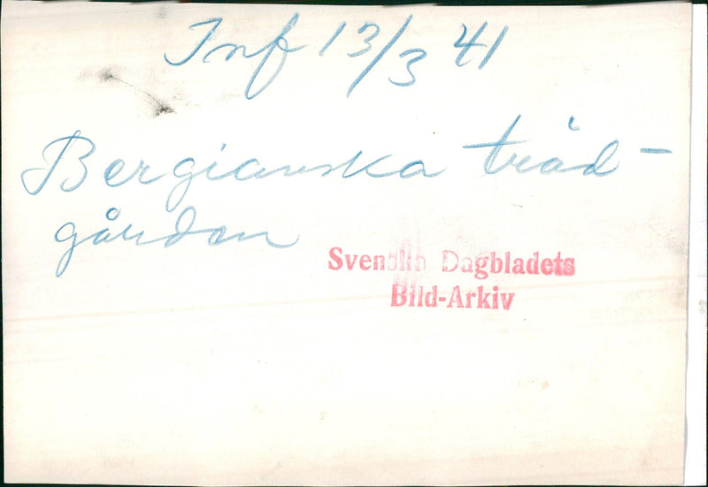 Bergianska Tradgarden - Vintage Photograph