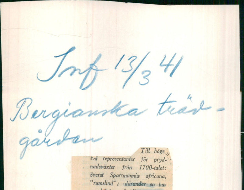 Bergianska Tradgarden - Vintage Photograph