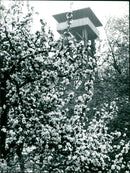 Goethe Tower in spring - Vintage Photograph