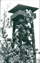 Goethe Tower in spring - Vintage Photograph