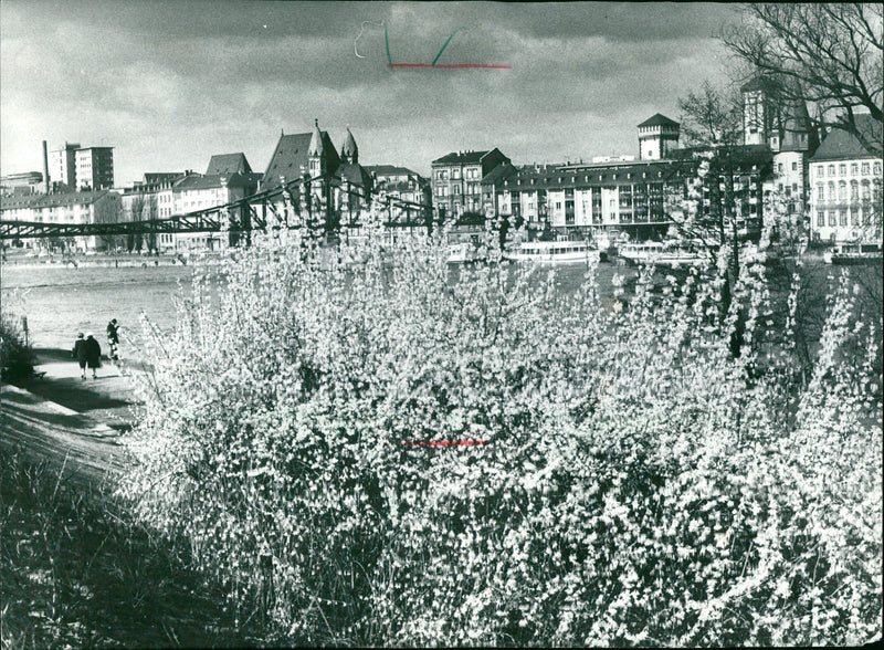 Main bank - Vintage Photograph