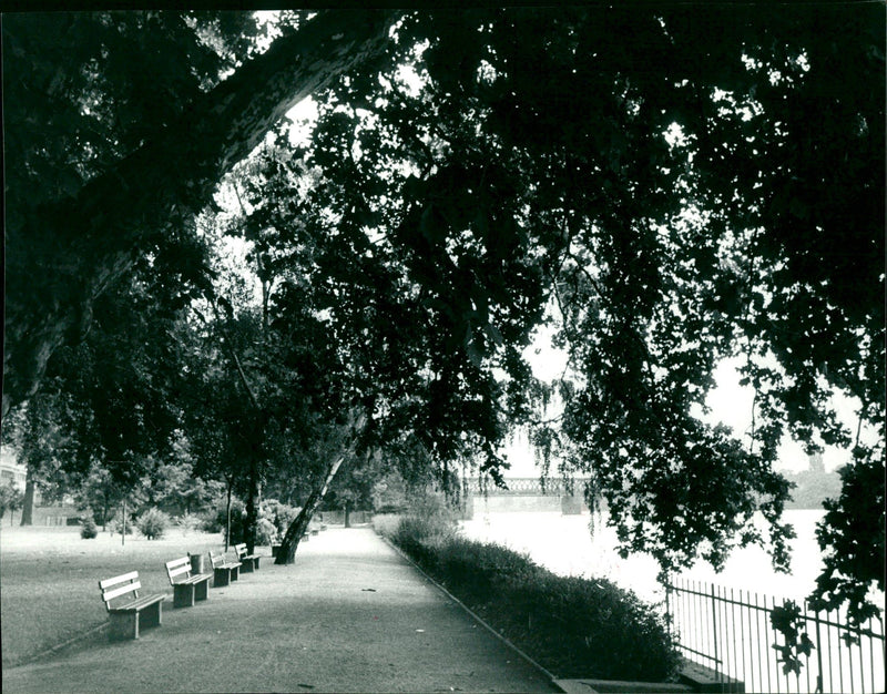 Main promenade - Vintage Photograph