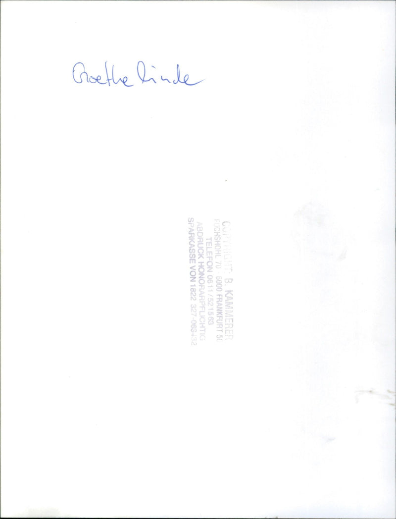 Goethe linden tree - Vintage Photograph