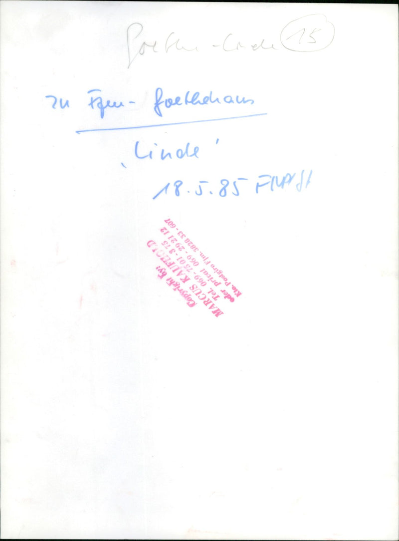 Goethehaus-Linde - Vintage Photograph