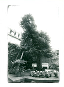 Goethehaus-Linde - Vintage Photograph