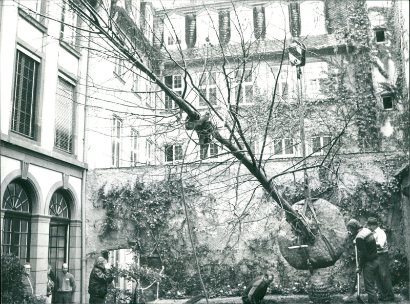 Goethehaus-Linde - Vintage Photograph