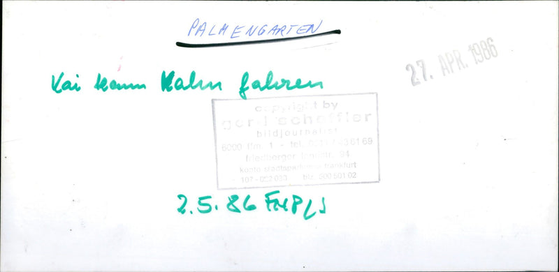 Palmengarten pond - Vintage Photograph