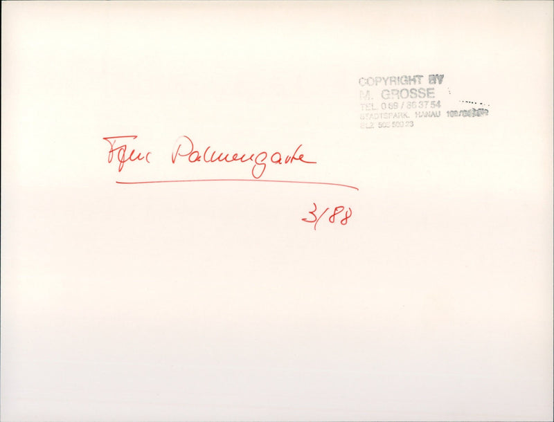 Palmengarten pond in Frankfurt - Vintage Photograph