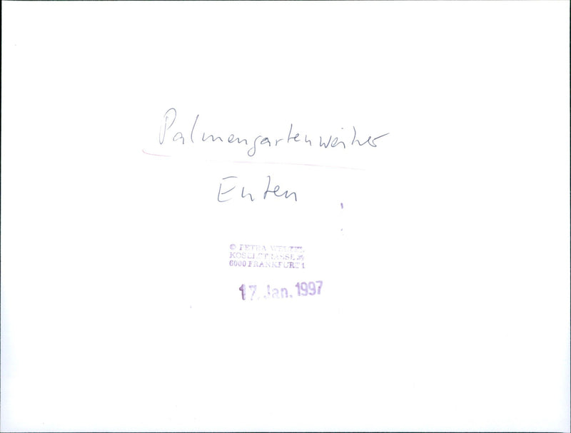 Palmengarten pond in Frankfurt - Vintage Photograph