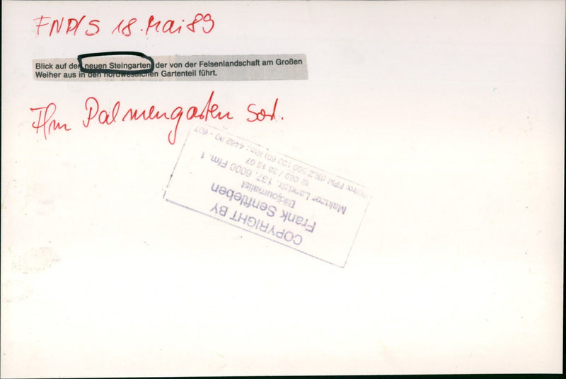 Palmengarten pond - Vintage Photograph