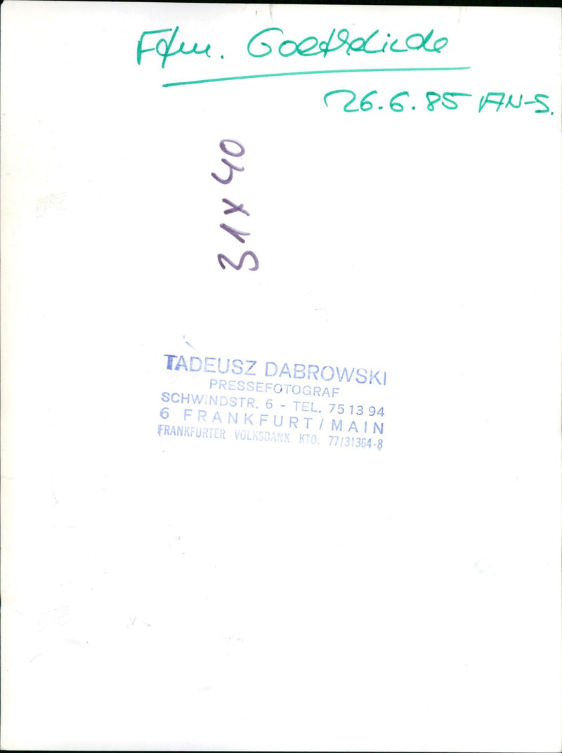 Goethehaus-Linde - Vintage Photograph