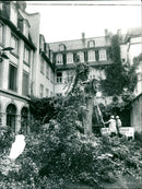 Goethehaus-Linde - Vintage Photograph