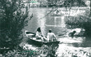 Palmengarten pond - Vintage Photograph