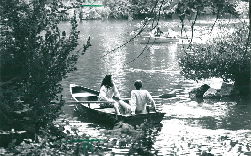 Palmengarten pond - Vintage Photograph