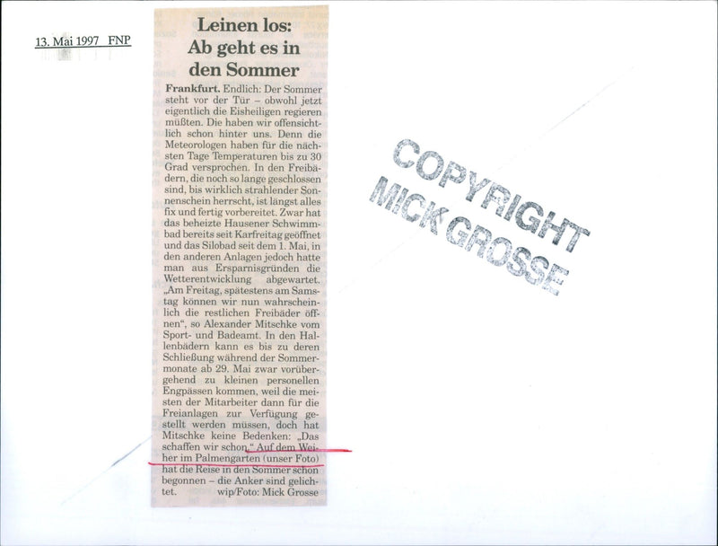 Palmengarten pond - Vintage Photograph