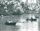Palmengarten pond - Vintage Photograph