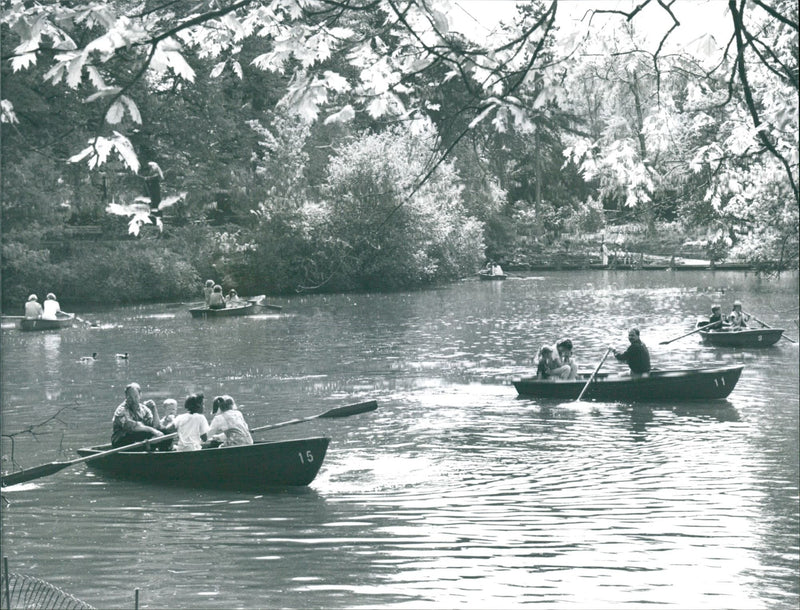 Palmengarten pond - Vintage Photograph